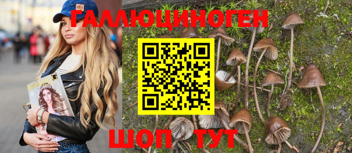 Галлюциногенные грибы Magic Shrooms  Вход с VPN  где купить наркотик  Белая Калитва 